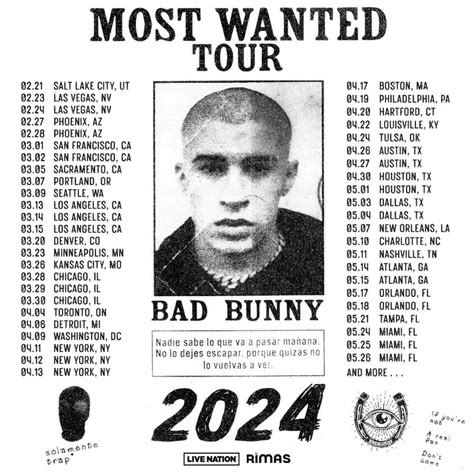 Mr. Nadie 2025